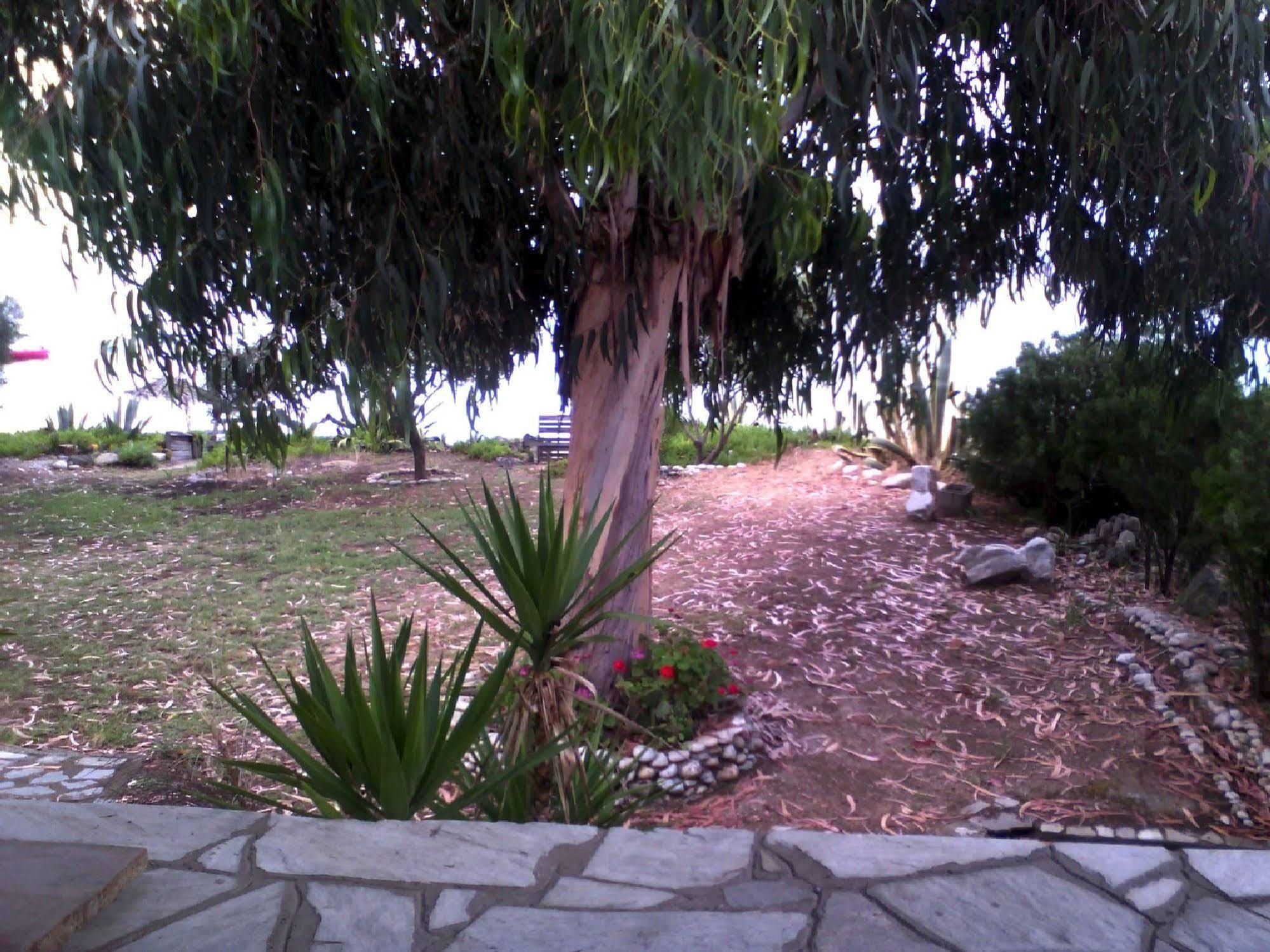 Agrelia House Villa Ouranoupoli Eksteriør billede